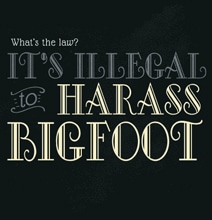 9 Bizarre Laws In American History [Infographic]