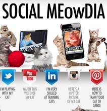Social Media Sites Explained With Adorable Kittens [Infographic]