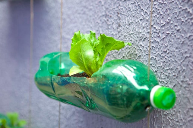 recycled-plastic-soda-bottles