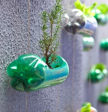 Spunky Urban Wall Garden Created From Recycled Plastic Soda Bottles Spunky Urban Wall Garden Created From Recycled Plastic Soda Bottles