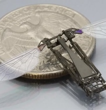 3D Printed Micro-Drones Are A Miracle To Behold 3D Printed Micro-Drones Are A Miracle To Behold