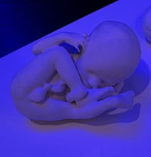 Hold A Life-Size Model Of Your Unborn Baby With This 3D Sonogram