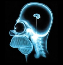 Brainology: 15 Intriguing Facts About Your Brain [Infographic]