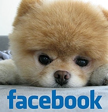 MySocialPetwork: A Social Media Site That Is Like Facebook For Pets MySocialPetwork: A Social Media Site That Is Like Facebook For Pets