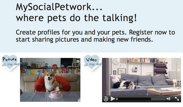 facebook-for-pets-social-site