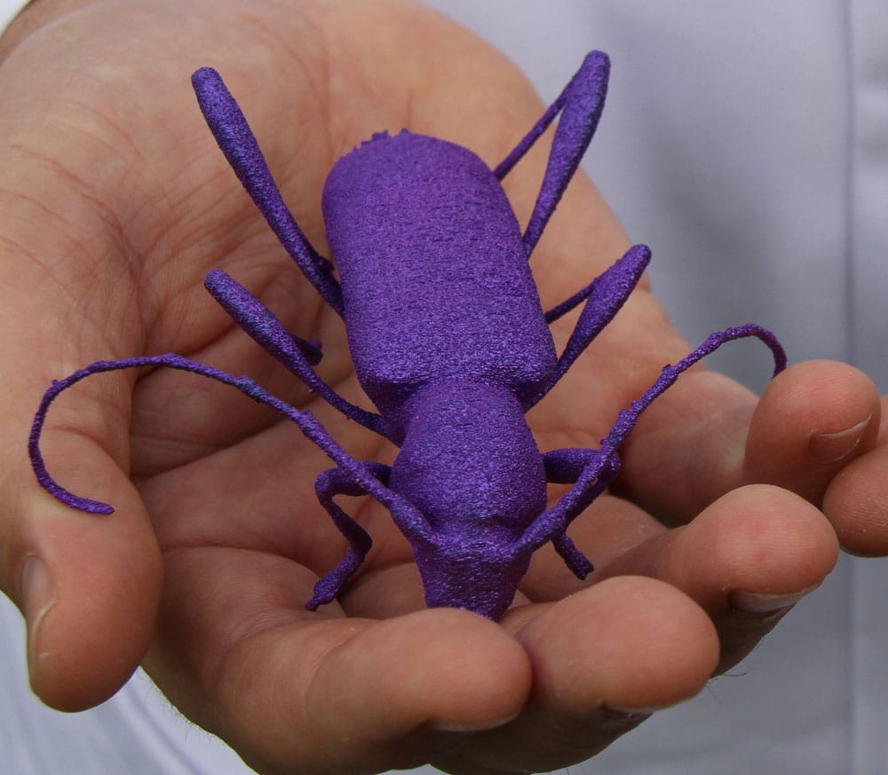 3d-printed-magnified-giant-bugs