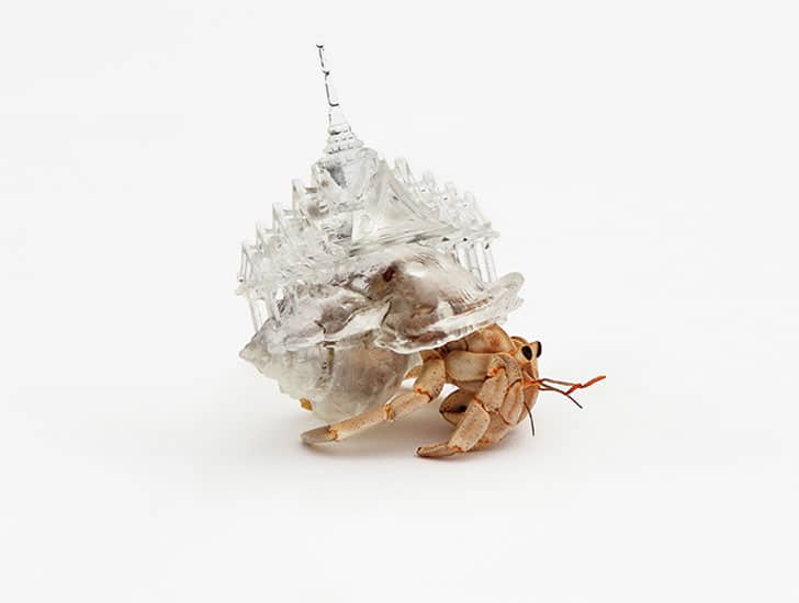 3d-printed-hermit-crab-shells