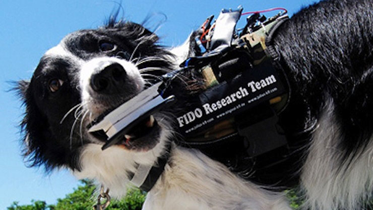 wearable-computers-for-dogs