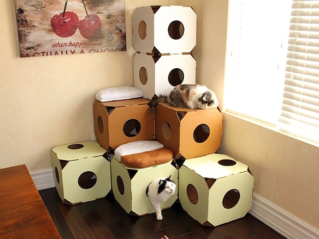 cardboard-furniture-cat-condos
