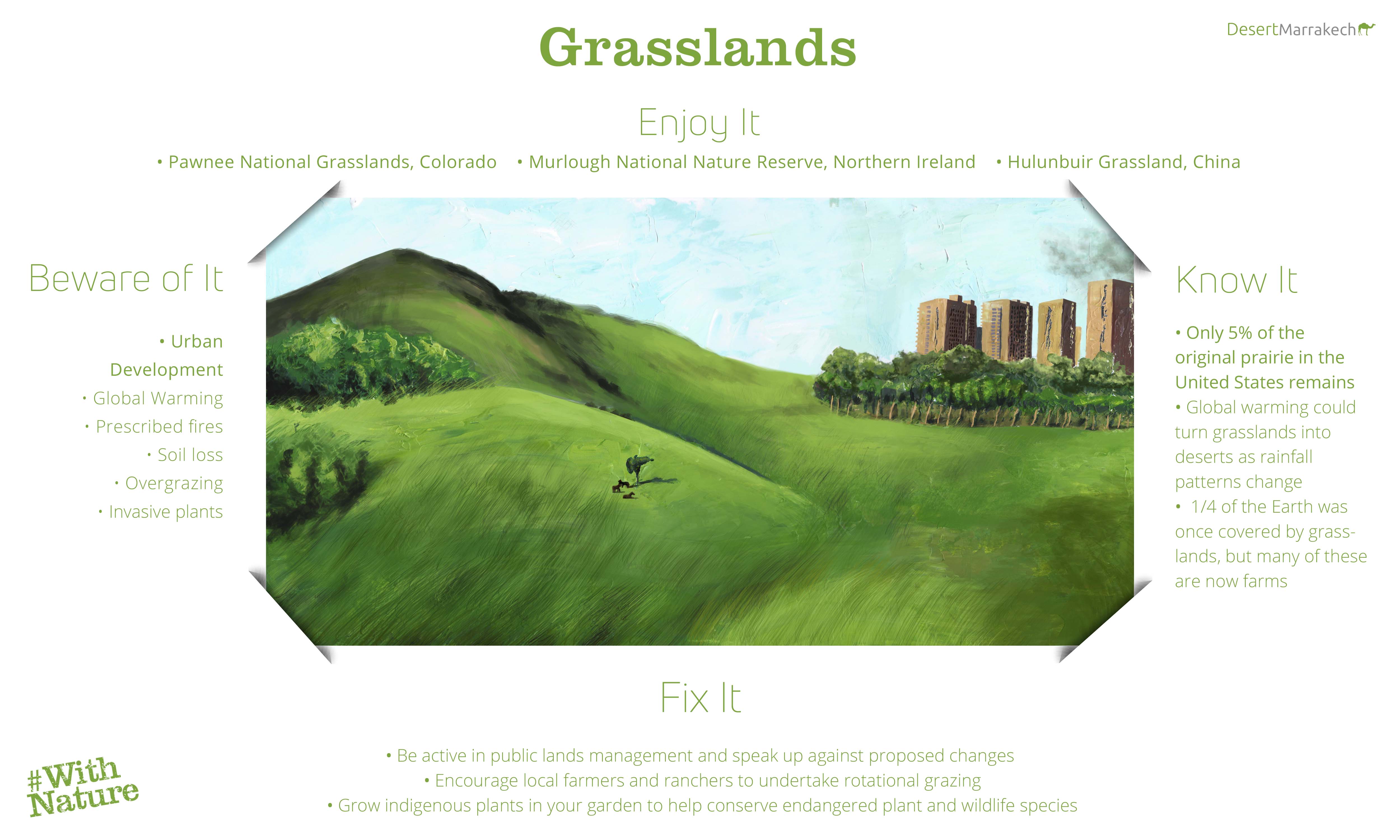 World Environment Day Grasslands Infographic