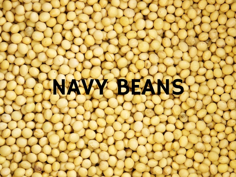 6 Natural Fat Burners Navy Beans