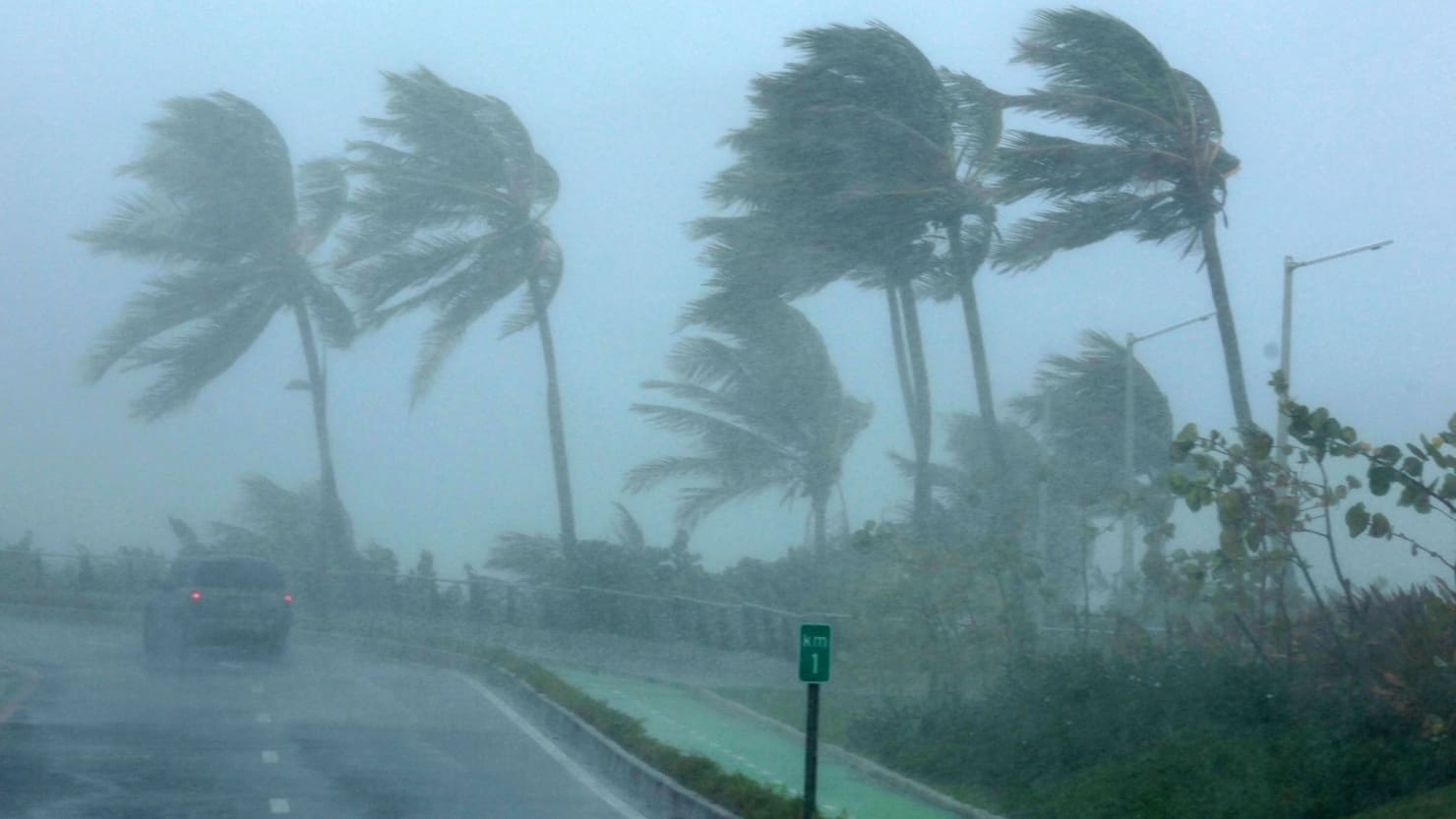 Tesla Powerwall Hurricane Irma Header Image