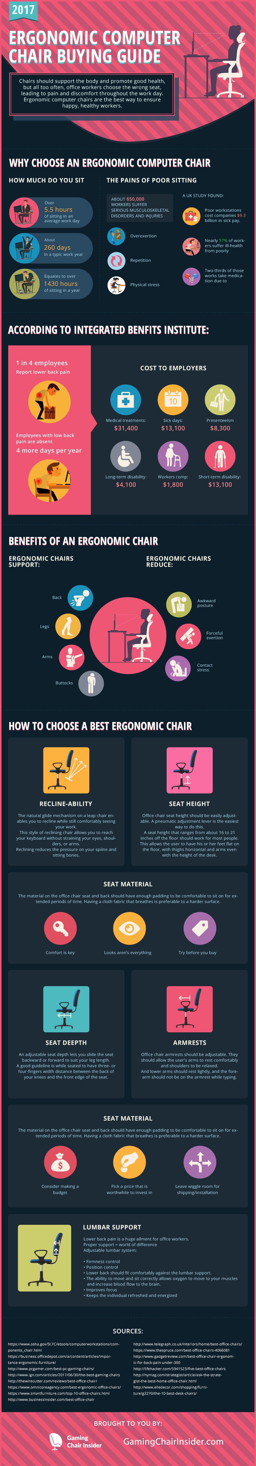 Ergonomic Office Chairs Guide Infographic