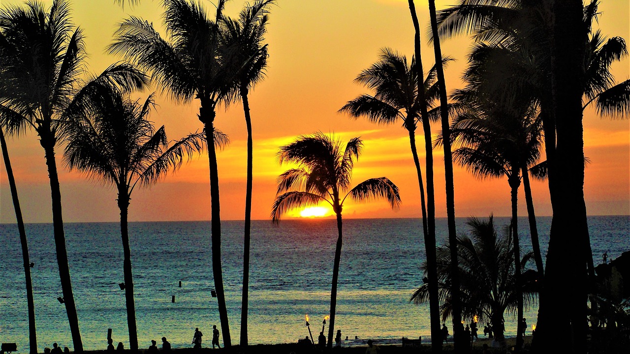 Must-Visit Maui Header Image
