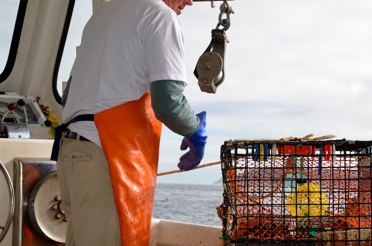 About Lobster Season Header Image