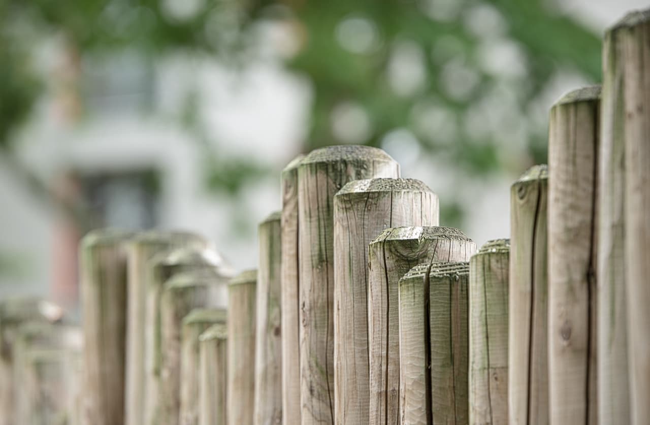 Green Fencing Solutions Article Image
