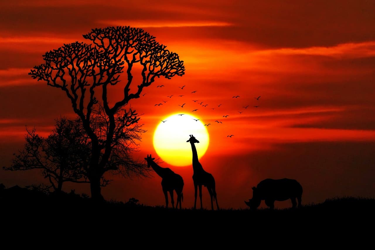 Best Safari Spots Africa Header Image