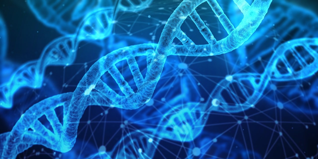DNA Testing Home Header Image