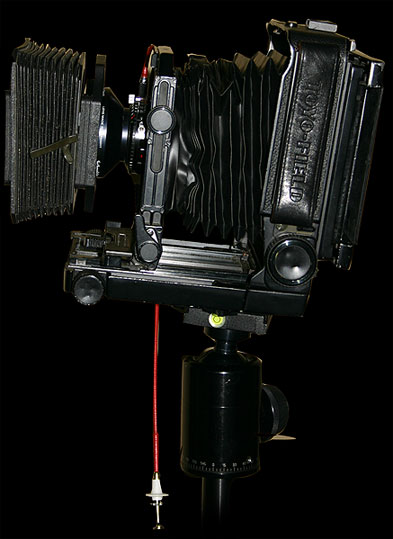 Eric Gauger - Camera