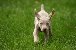 n716661708_1254773_5930