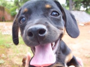 n716661708_1254774_6189