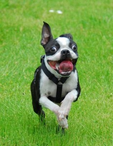 n716661708_1254775_6512