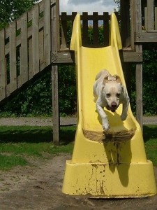 n716661708_1254776_6826