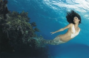 022_zena_holloway