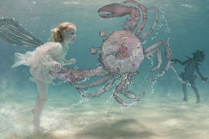 35-crab-copyright-zena-h