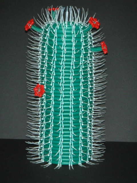 Hose Cactus