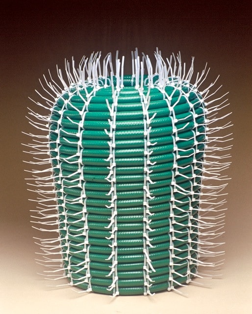 Hose Cactus