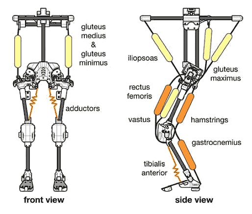 Running Athlete Robot