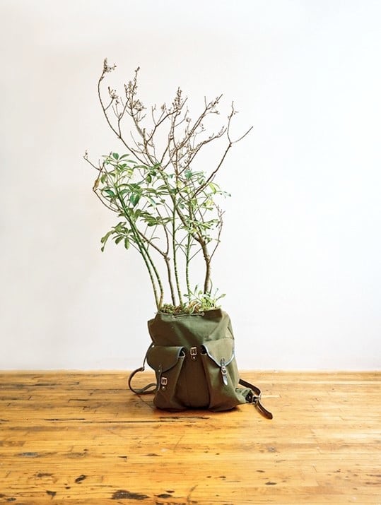 Alternative Pottery And Planters