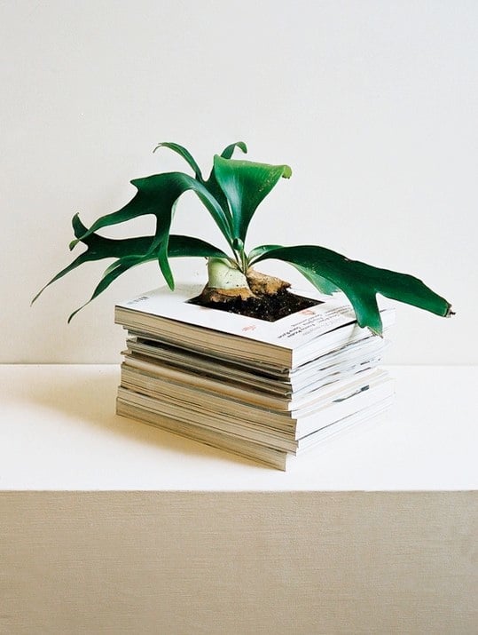 Alternative Pottery And Planters