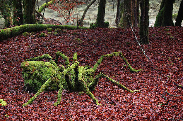 Land Art by Sylvain Meyer Land Art created by nature