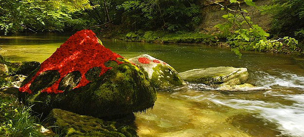 Land Art by Sylvain Meyer Land Art created from nature