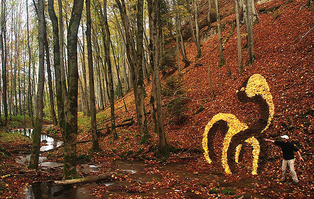 Land Art by Sylvain Meyer Land Art created with nature