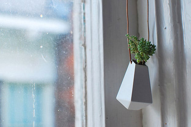 Plant Wearable Planter Necklace Fashion Wear Planter With Plant