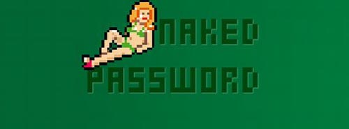 Naked Password 8-bit Sally Geek Stripper Helps With Passwords