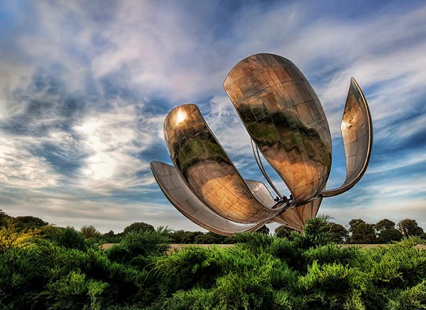 Solar Powered Robot Flower Argentina Geek Flowers for Geek Girls