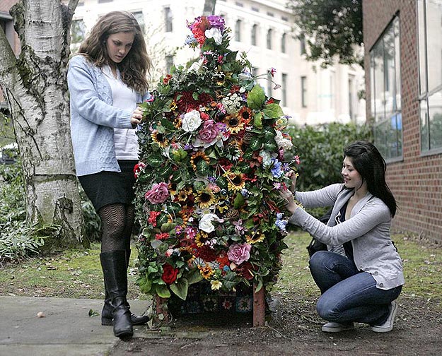 University of Washington Mailbox Art Art Students Decorate Mailboxes
