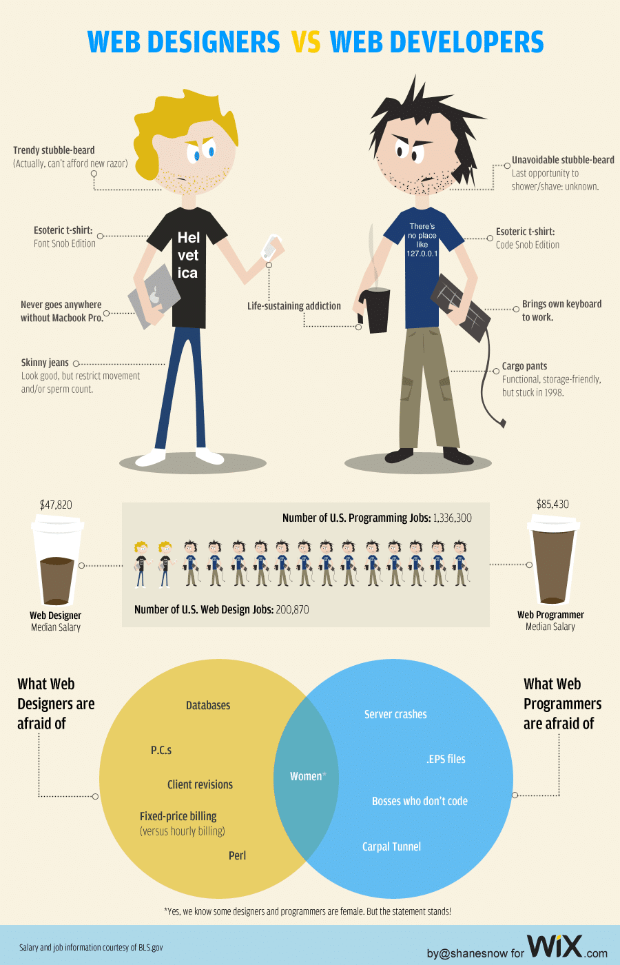 Web Designer And Developer Infographic