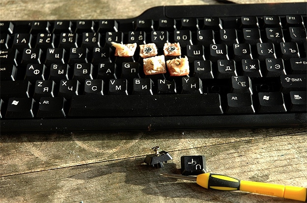 Birds Peck Tweet Twitter Real Birds Tweet On Twitter