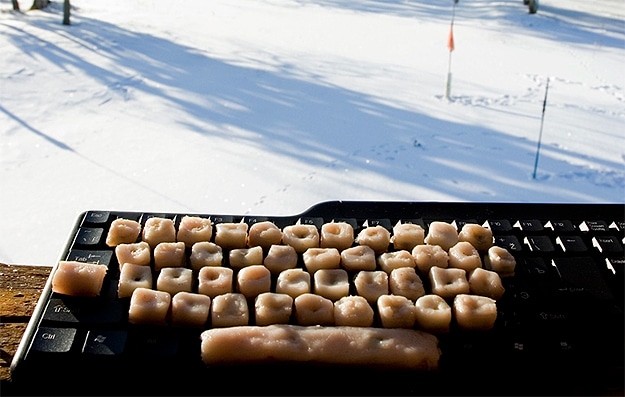 Birds Peck Tweet Twitter Real Birds Tweet on Twitter