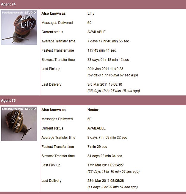 Real Snail Mail Delivery Live Snails Deliver Email