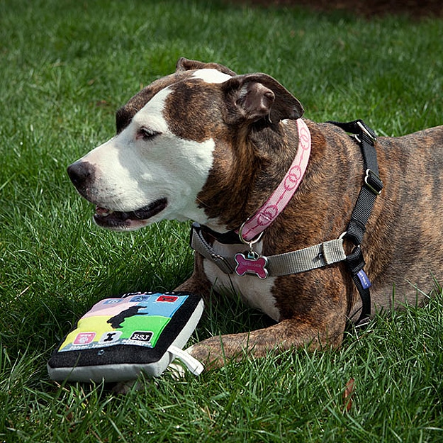 iPad Made for Dogs Think Geek iPad For Dogs