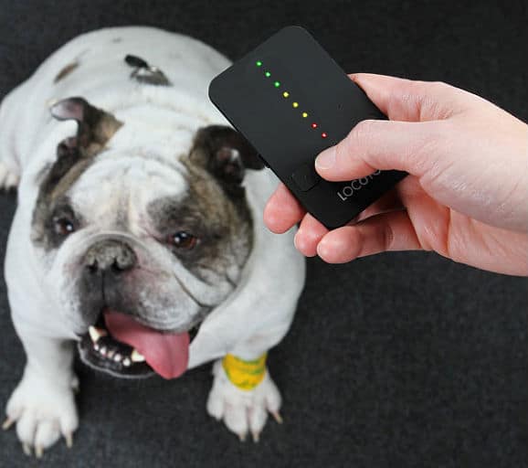 pet locator your pet found Gadget That Locates Pets