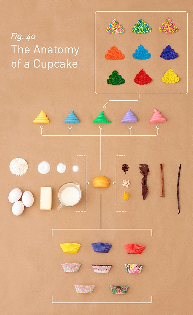 Cupcake Diagram and Illustration