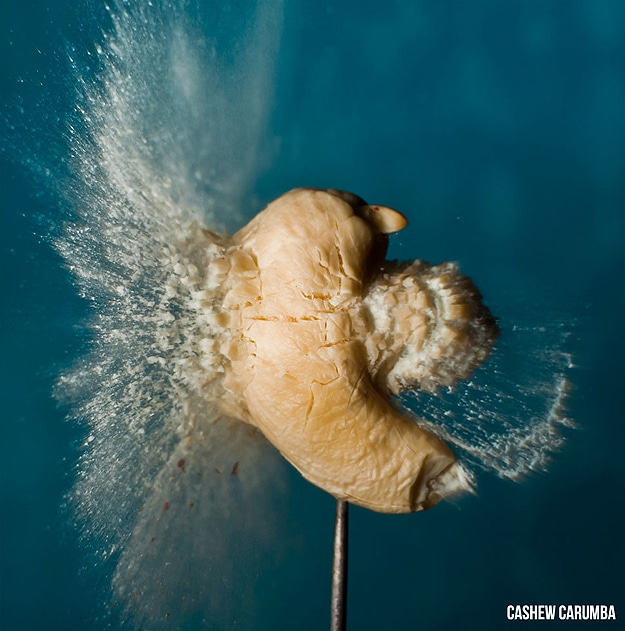 Moment Of Impact Photography Artistic High Speed Photographs