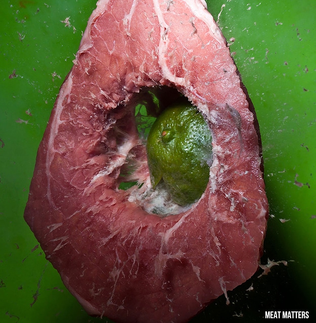 Moment Of Impact Photography Artistic High Speed Photographs